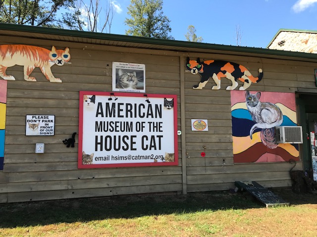 American Museum of the House cat outside Asheville, North Carolina.