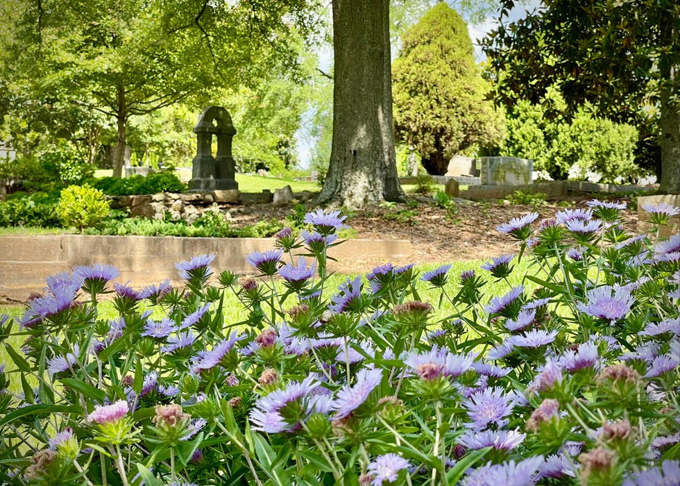 Cemetery with monuments and flowers. 